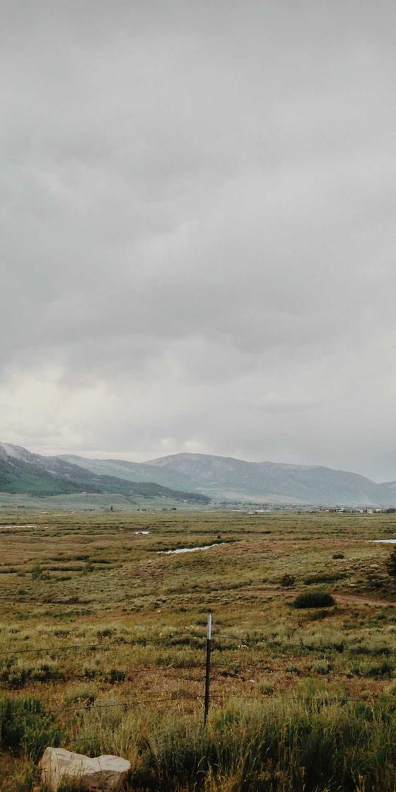 Rechic app showing curated fashion listings